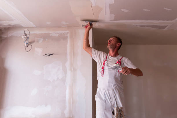 Best Water-Damaged Drywall Repair  in Snyder, TX